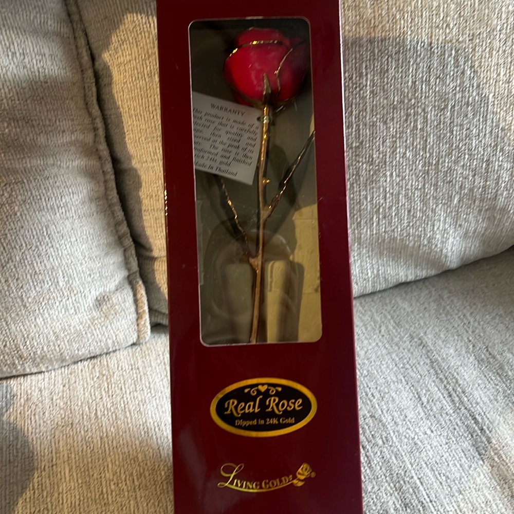 Beautiful real rose dripped in 24kt gold